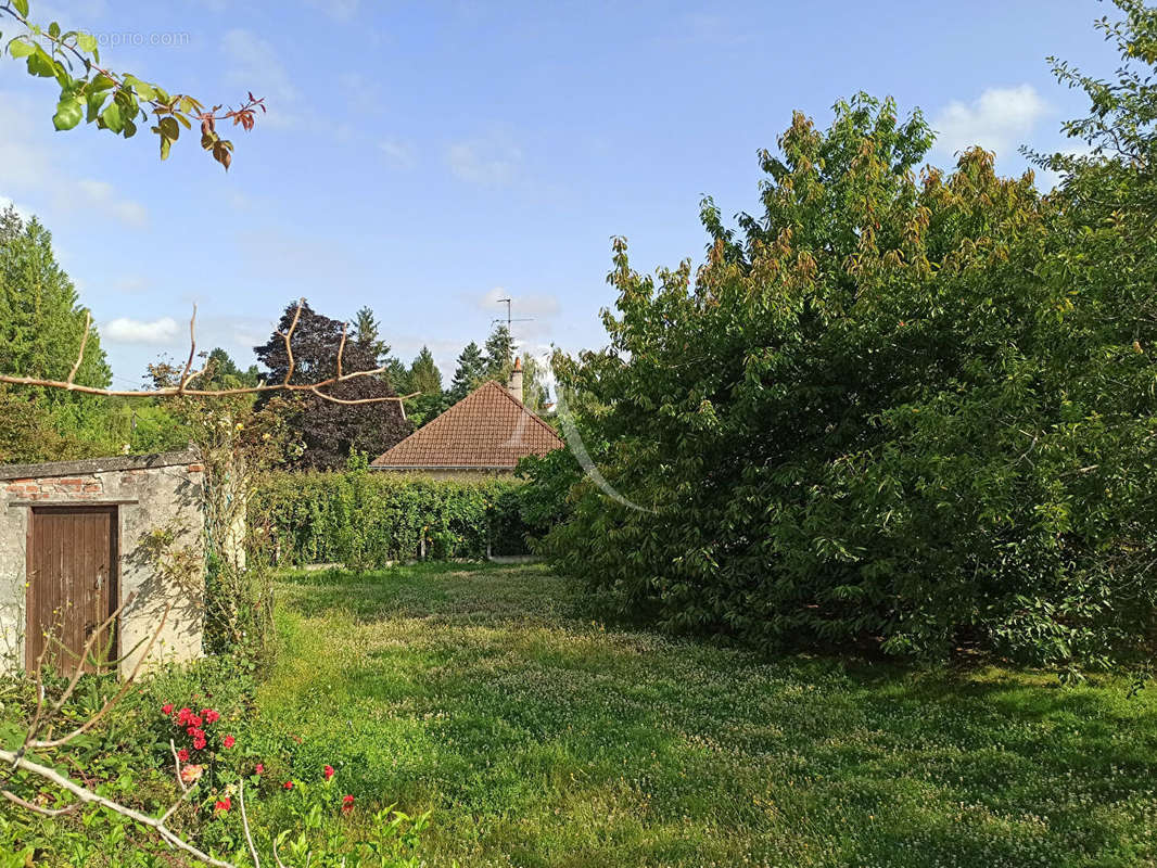 Terrain à SAINT-AIGNAN