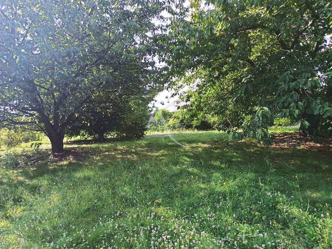 Terrain à SAINT-AIGNAN