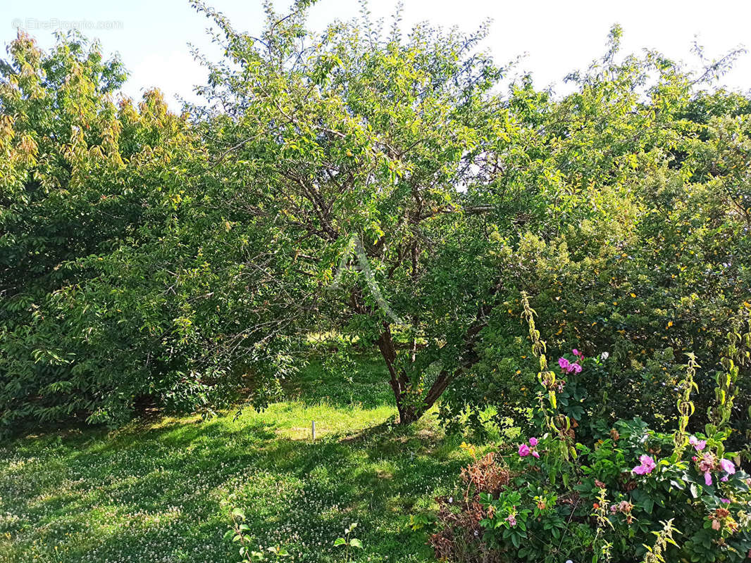 Terrain à SAINT-AIGNAN