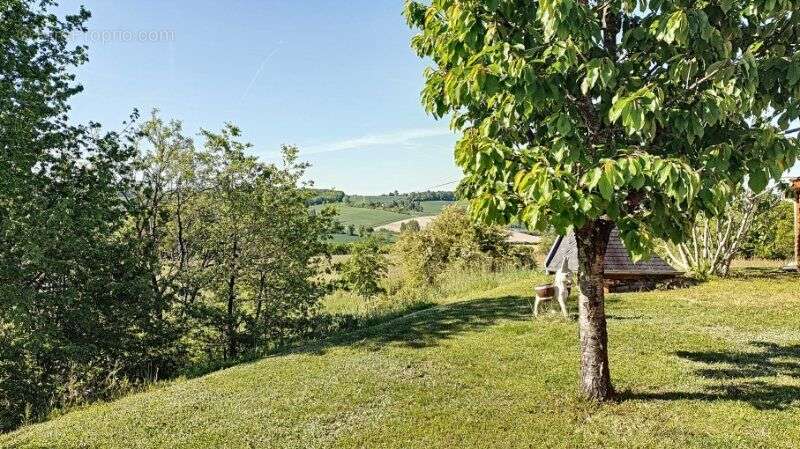 Photo 7 - Maison à MONCLAR-DE-QUERCY