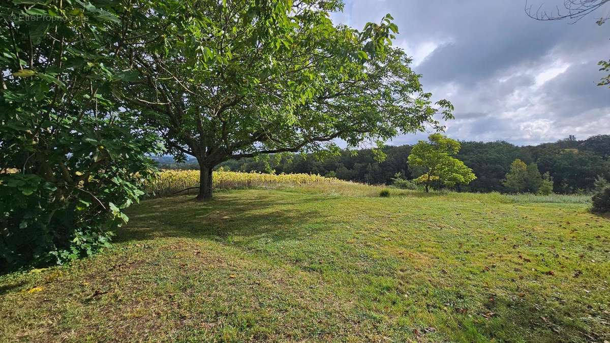 Photo 2 - Maison à MONCLAR-DE-QUERCY