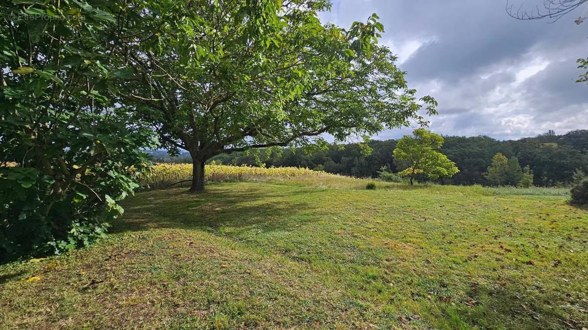 Photo 3 - Maison à MONCLAR-DE-QUERCY