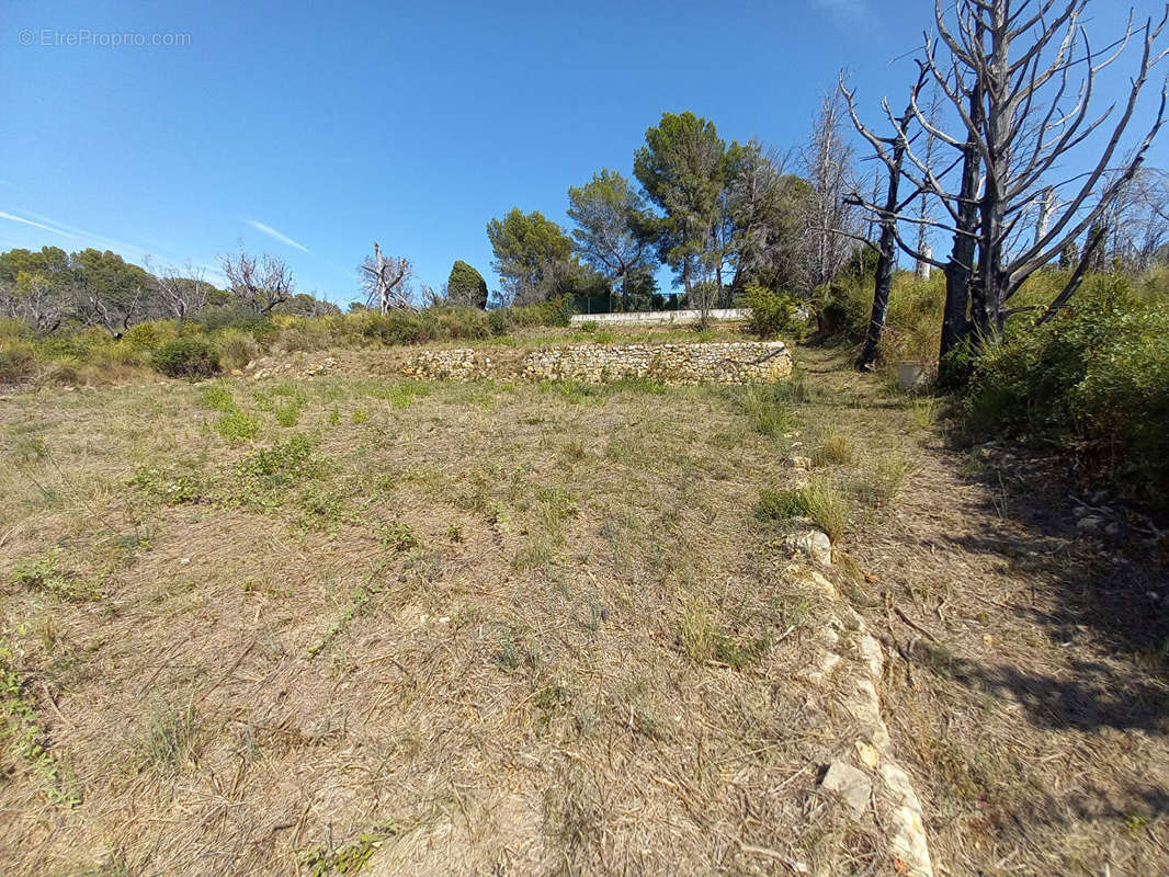 Terrain à MOUANS-SARTOUX