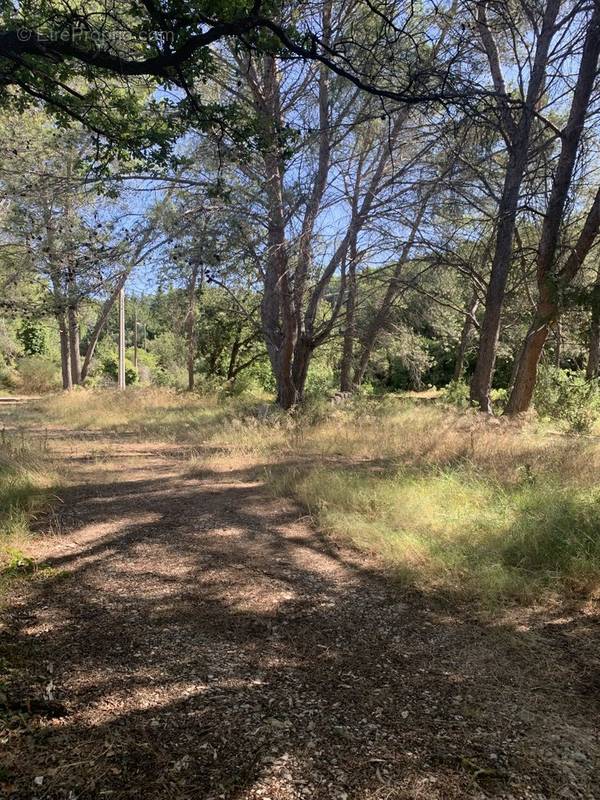 Terrain à VILLENEUVE-LES-AVIGNON