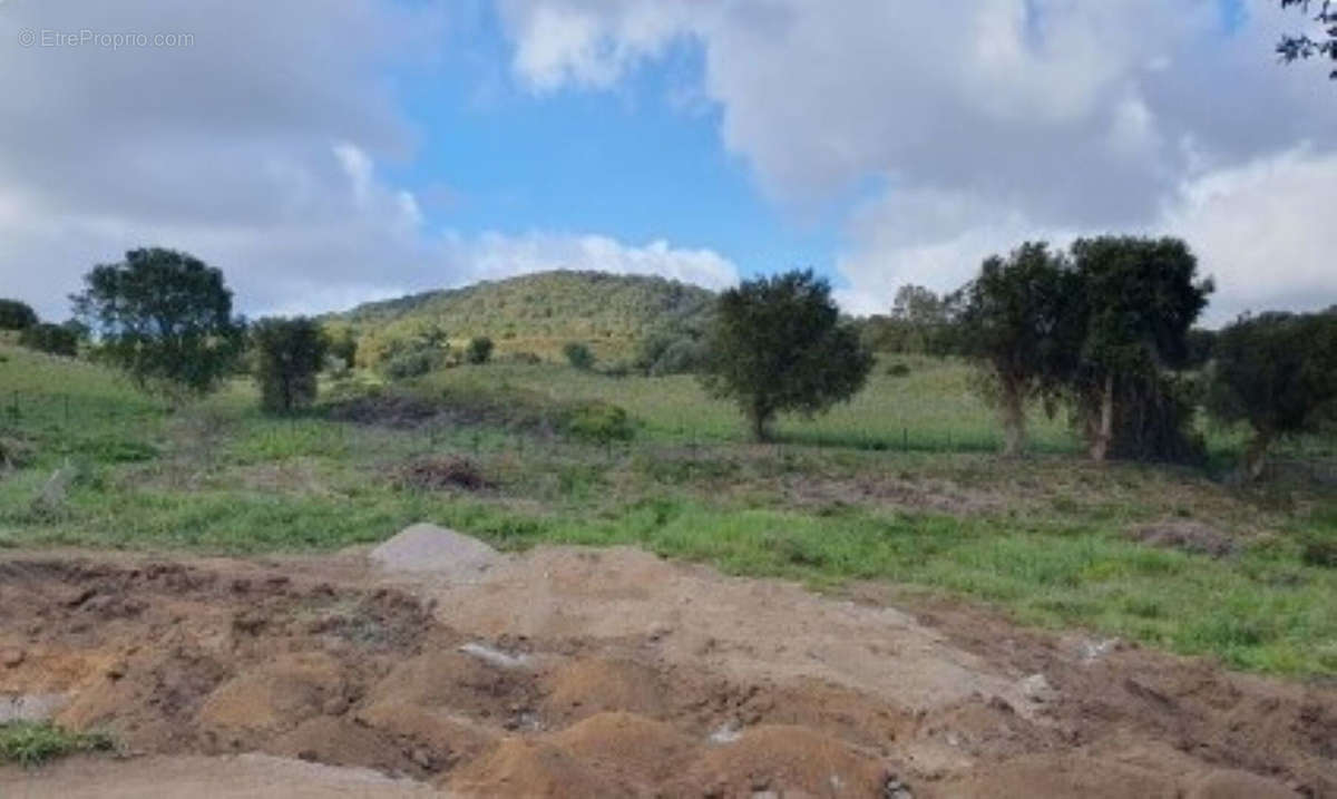 Terrain à AJACCIO