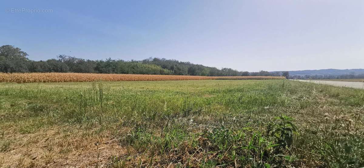 Terrain à CHAPONNAY