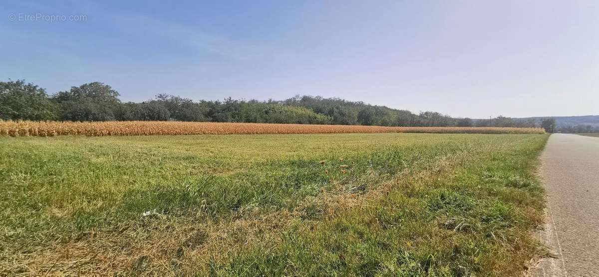 Terrain à CHAPONNAY