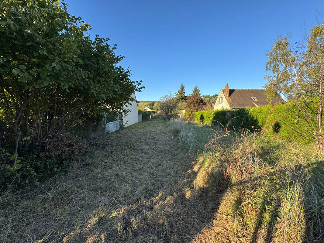 Terrain à VAYRES-SUR-ESSONNE