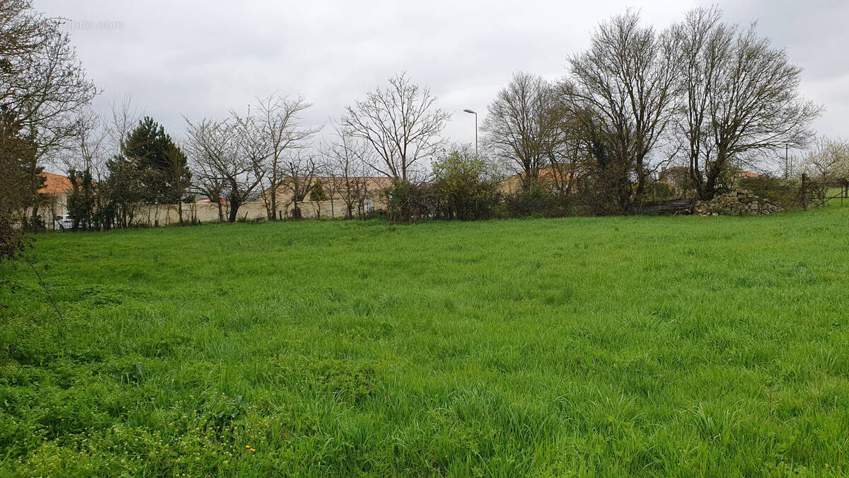 Terrain à SAINT-SATURNIN-DU-BOIS