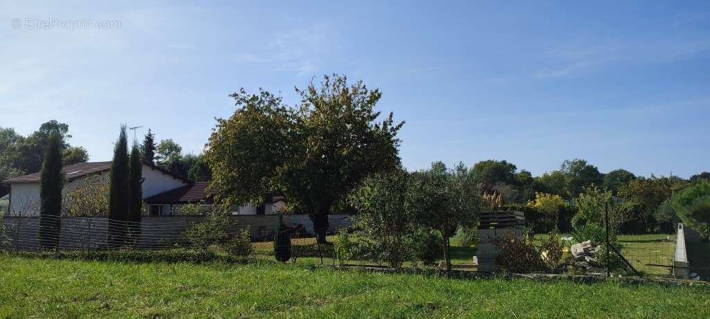 Terrain à JONZAC