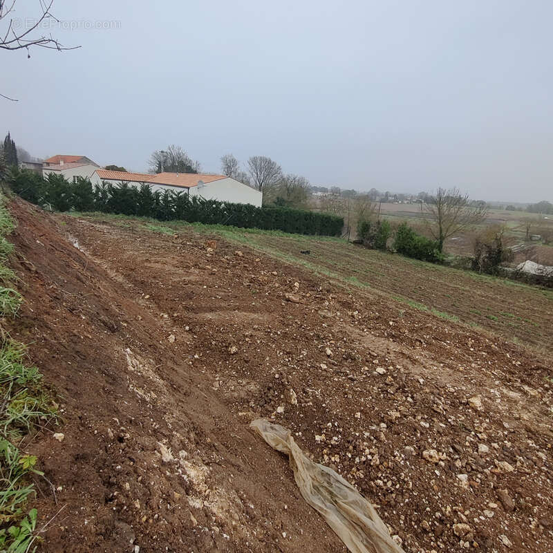 Terrain à SAINT-SULPICE-D&#039;ARNOULT