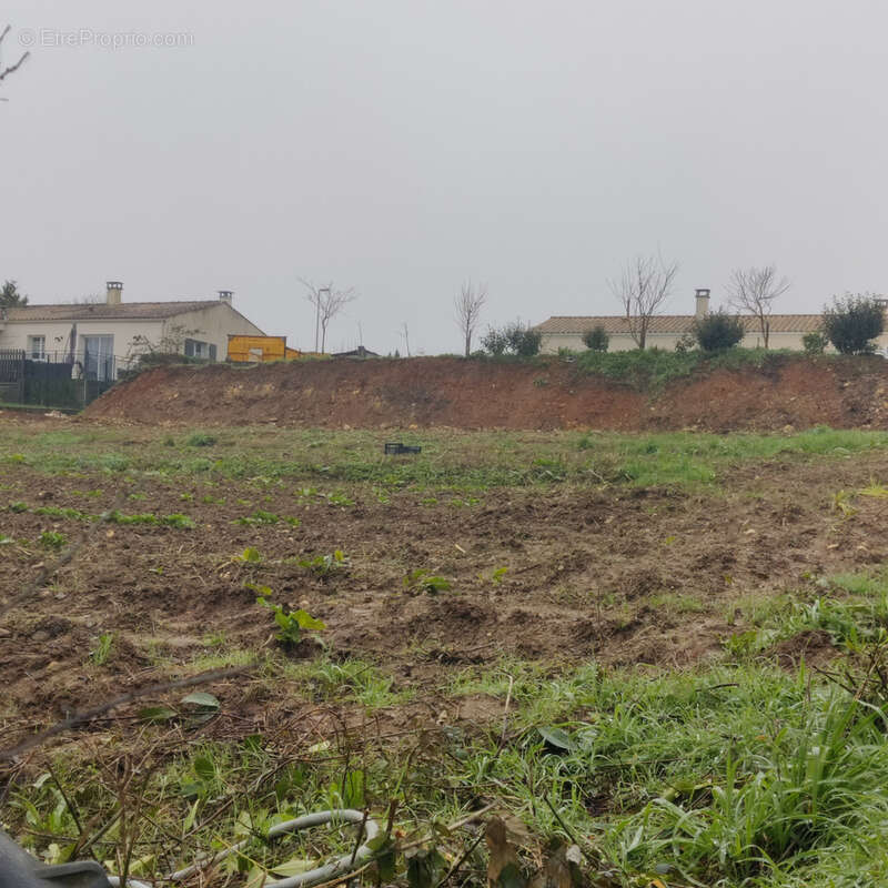 Terrain à SAINT-SULPICE-D&#039;ARNOULT