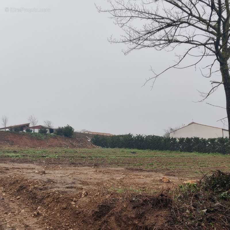 Terrain à SAINT-SULPICE-D&#039;ARNOULT