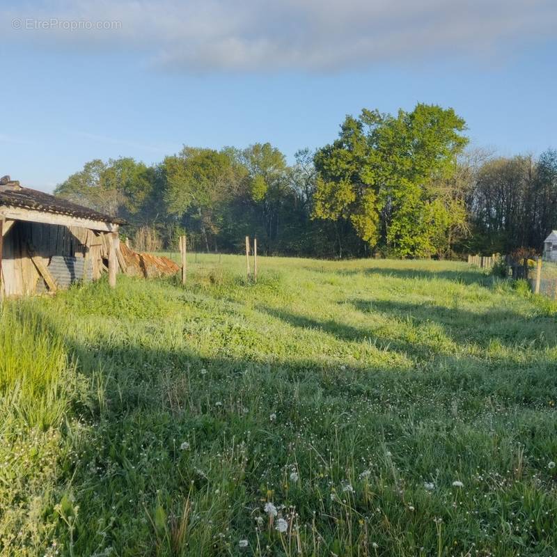 Terrain à ECOYEUX