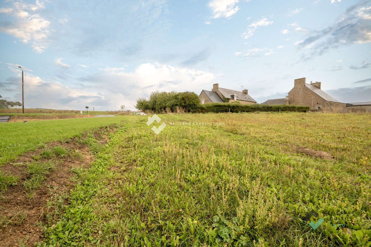 Terrain à QUINTIN