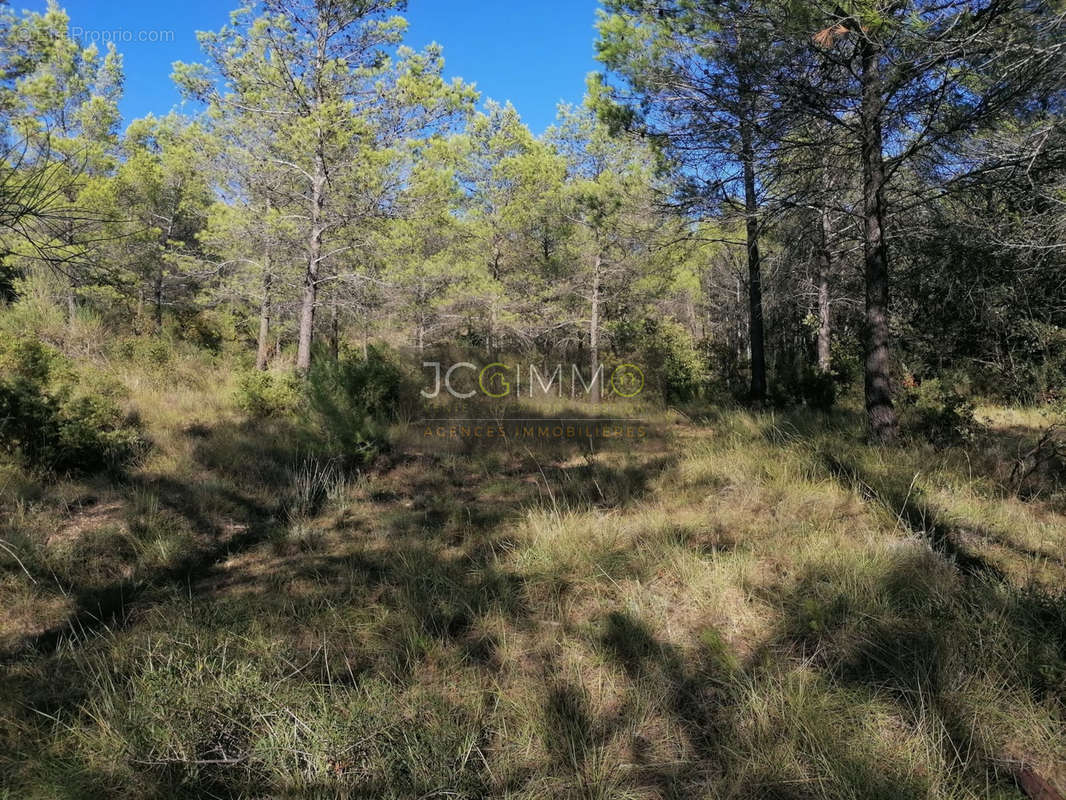 Terrain à SAINTE-ANASTASIE-SUR-ISSOLE