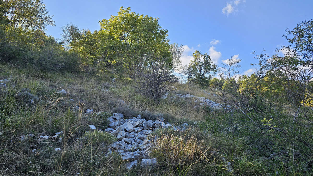 Terrain à CAUSSOLS