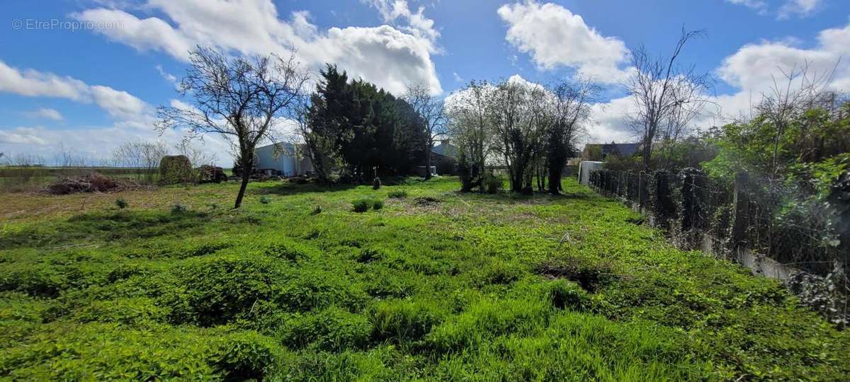 Terrain à SAINT-PERAVY-LA-COLOMBE