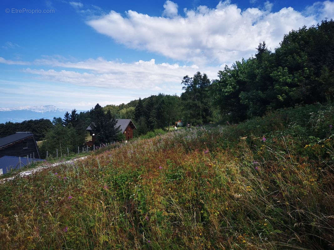 Terrain à LA MORTE