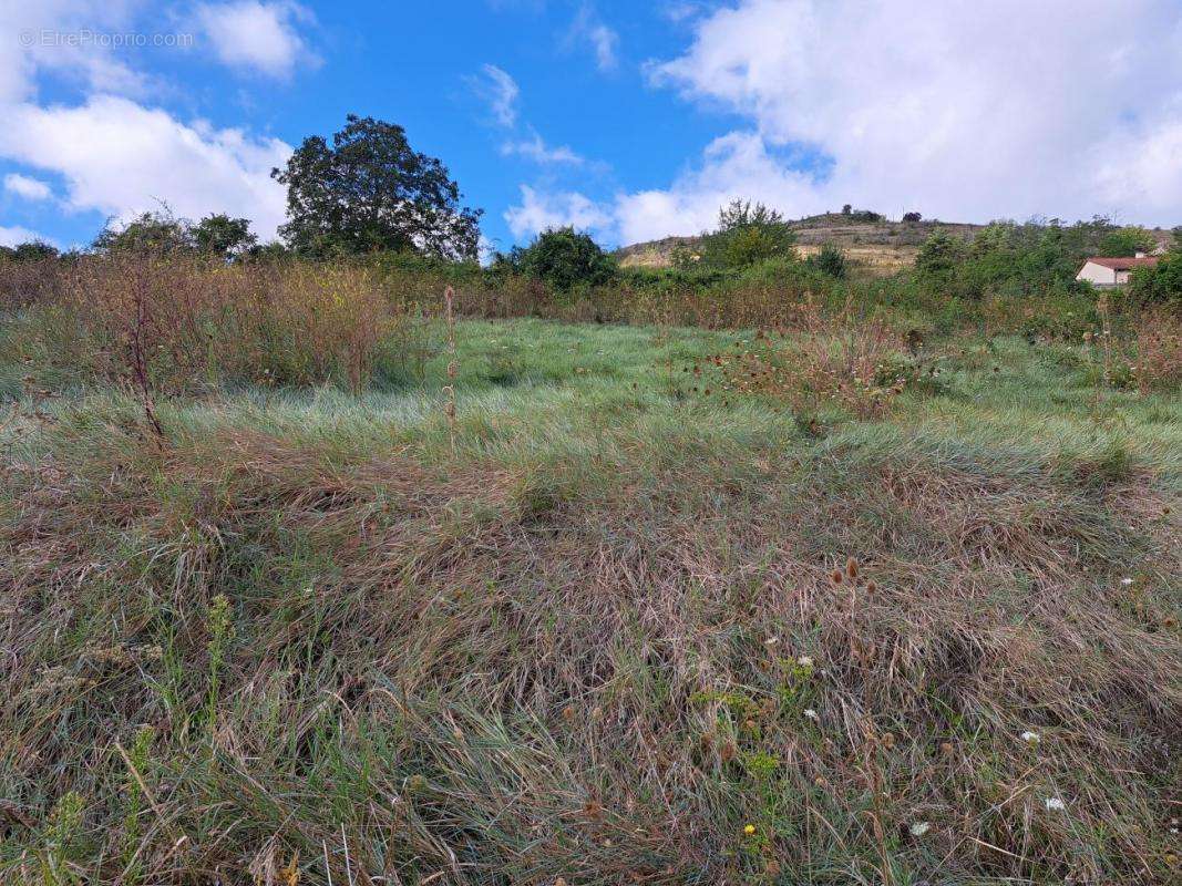 Terrain à LES MARTRES-DE-VEYRE