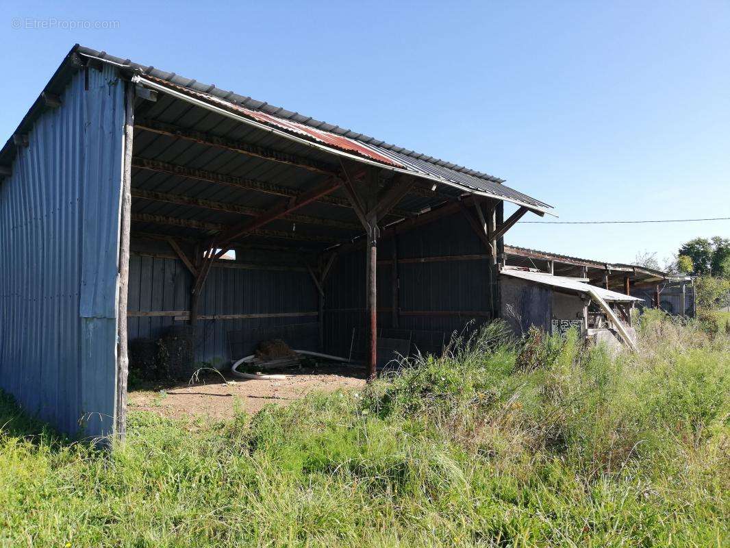 Maison à AMOU