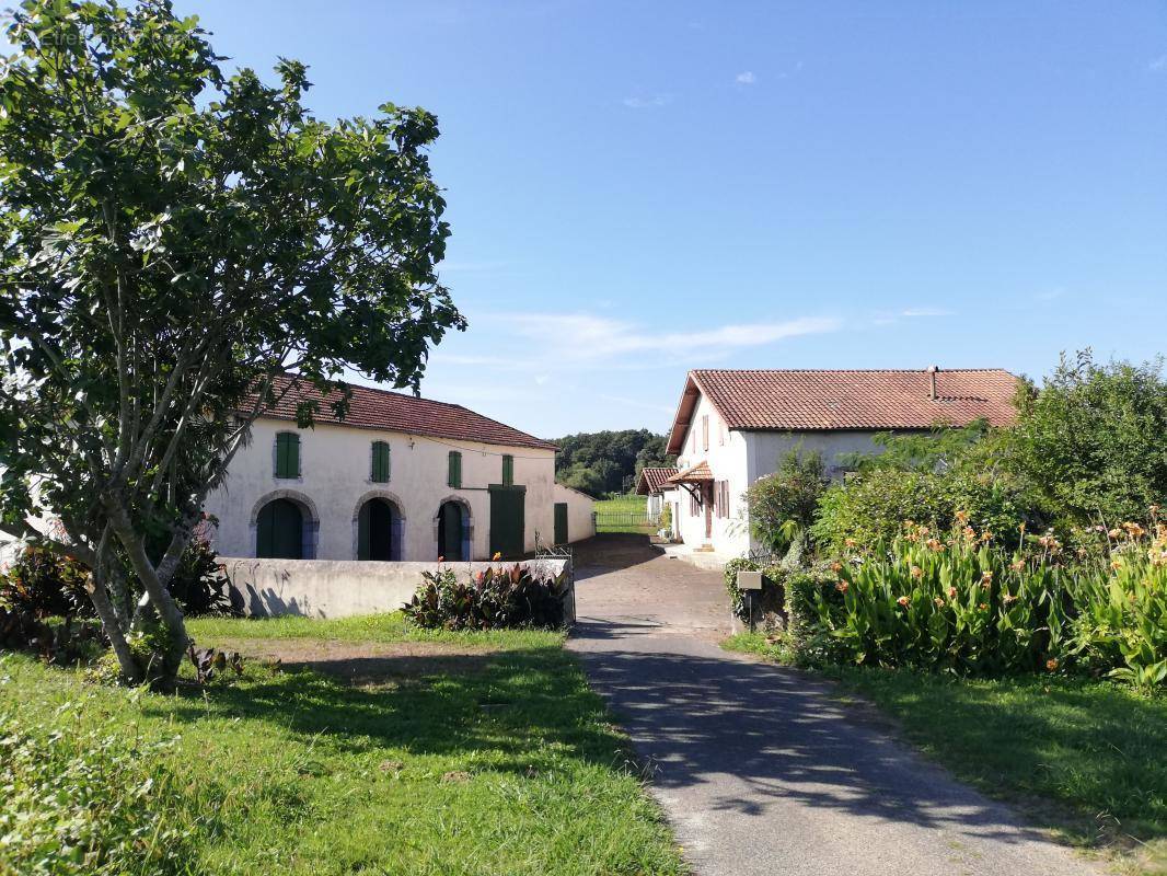 Maison à AMOU