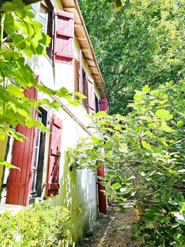 Maison à SAINT-ELIX