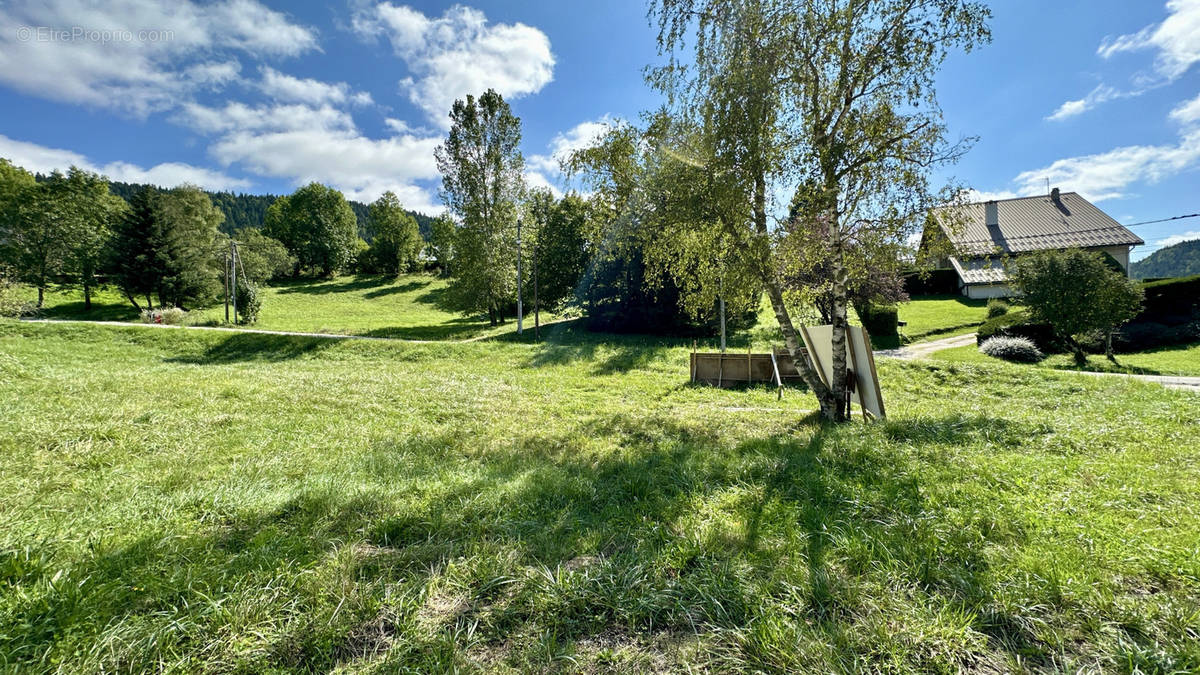 Terrain à VILLARD-DE-LANS