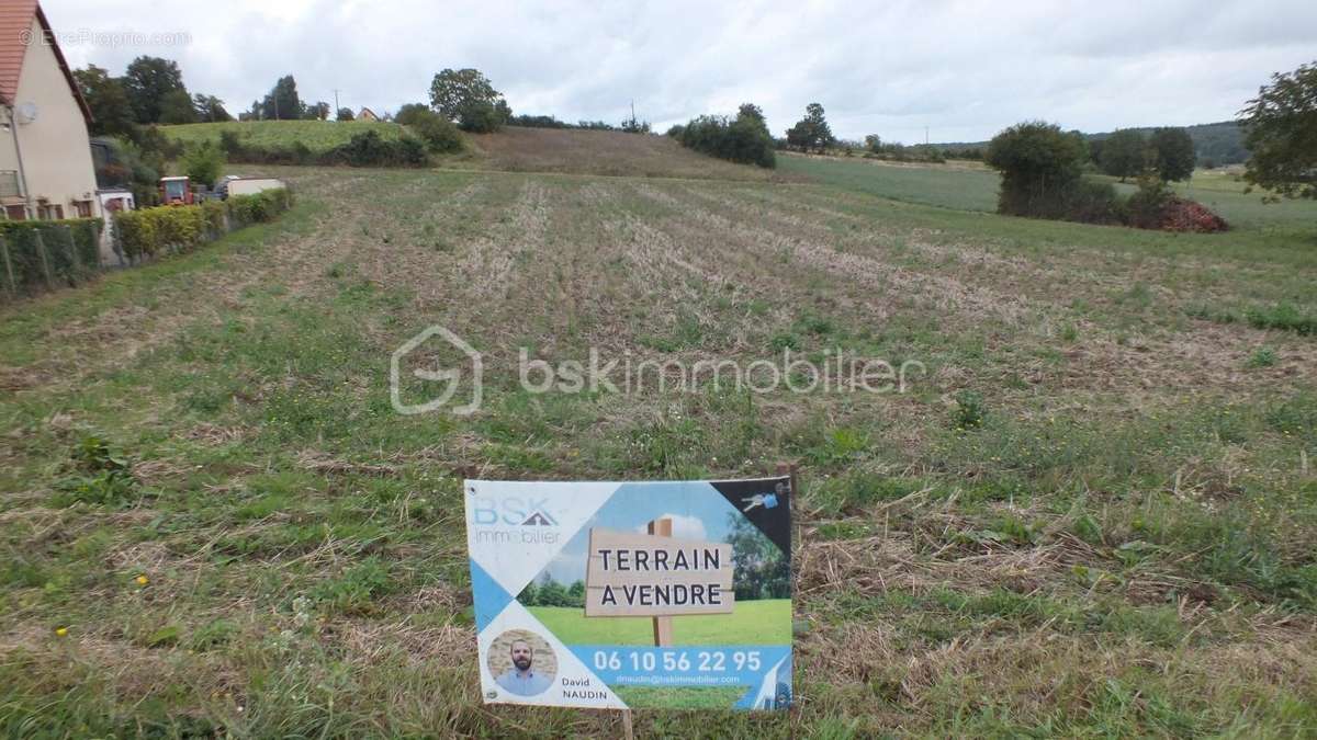 Terrain à POURRAIN