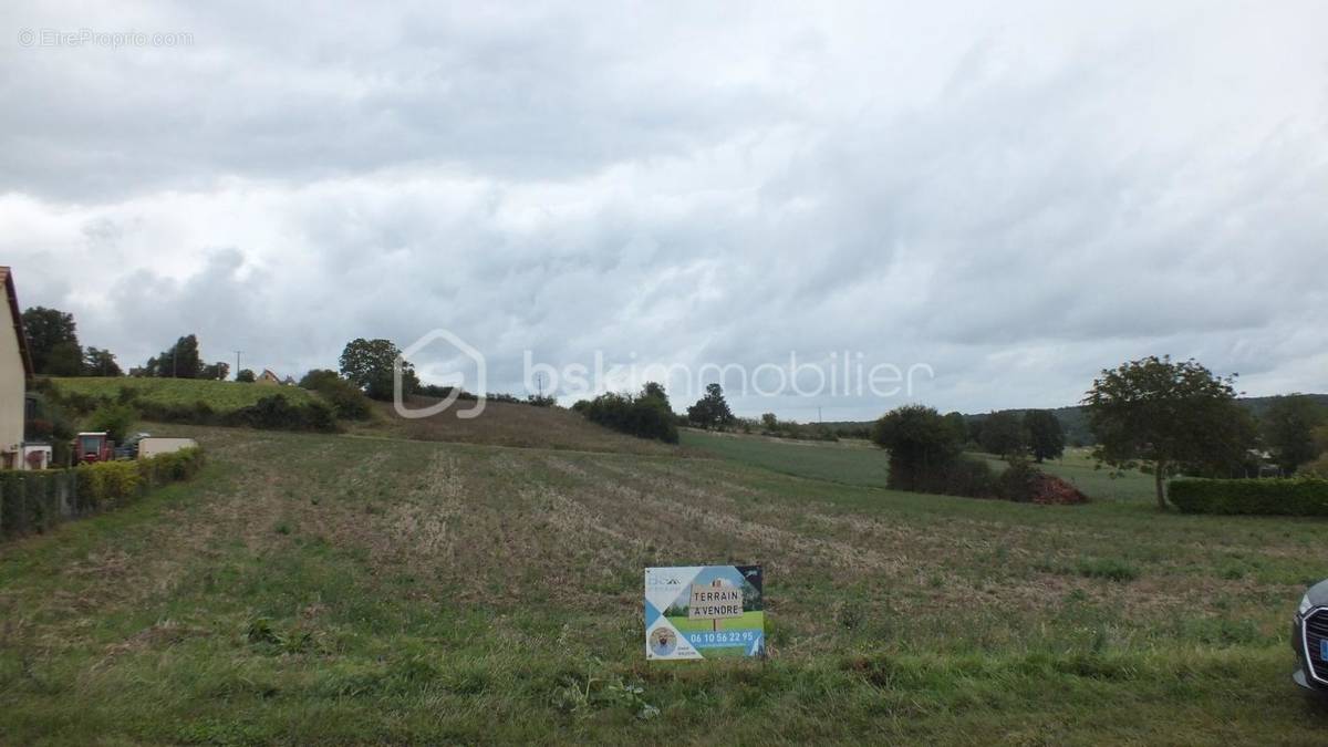 Terrain à POURRAIN