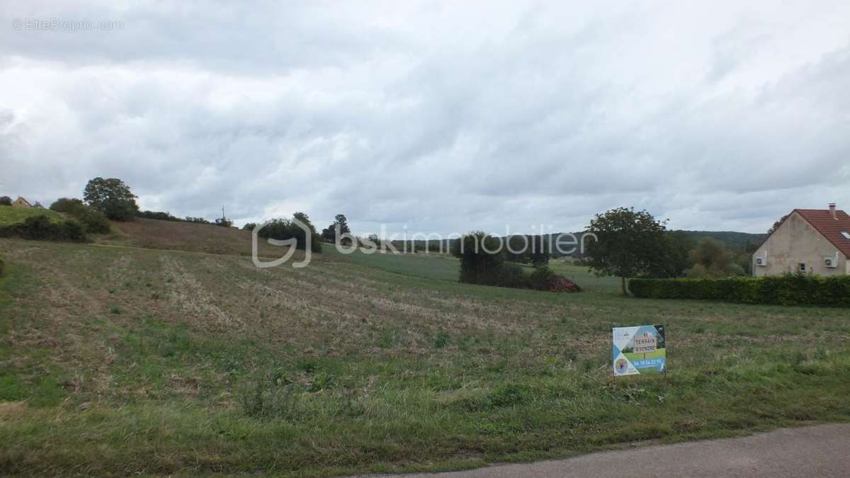 Terrain à POURRAIN