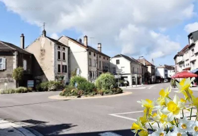 Maison à LUXEUIL-LES-BAINS