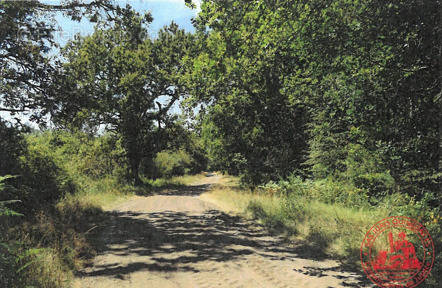 Terrain à LESPARRE-MEDOC