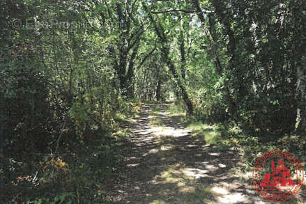 Terrain à LESPARRE-MEDOC