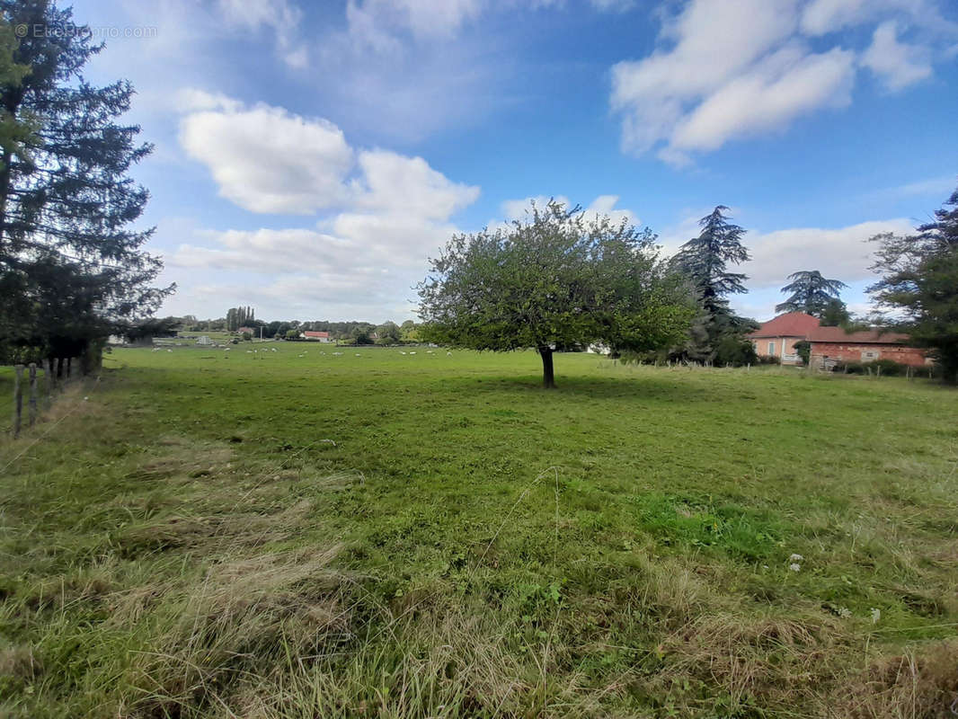 Terrain à COMMENAILLES