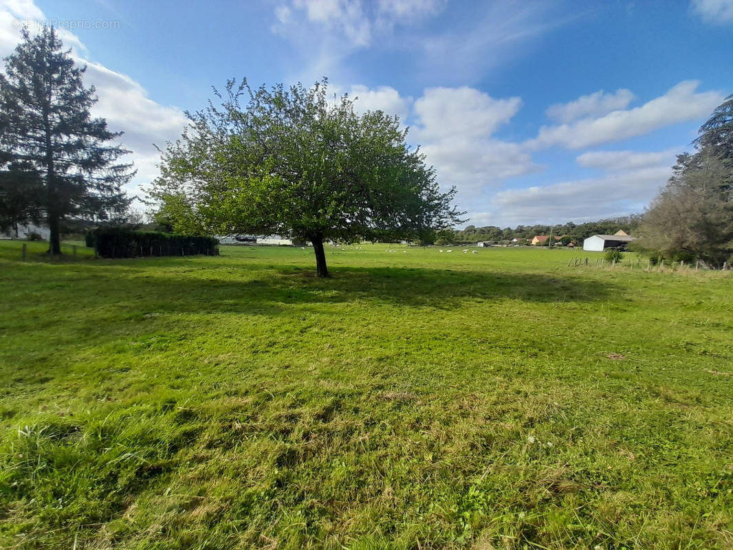 Terrain à COMMENAILLES