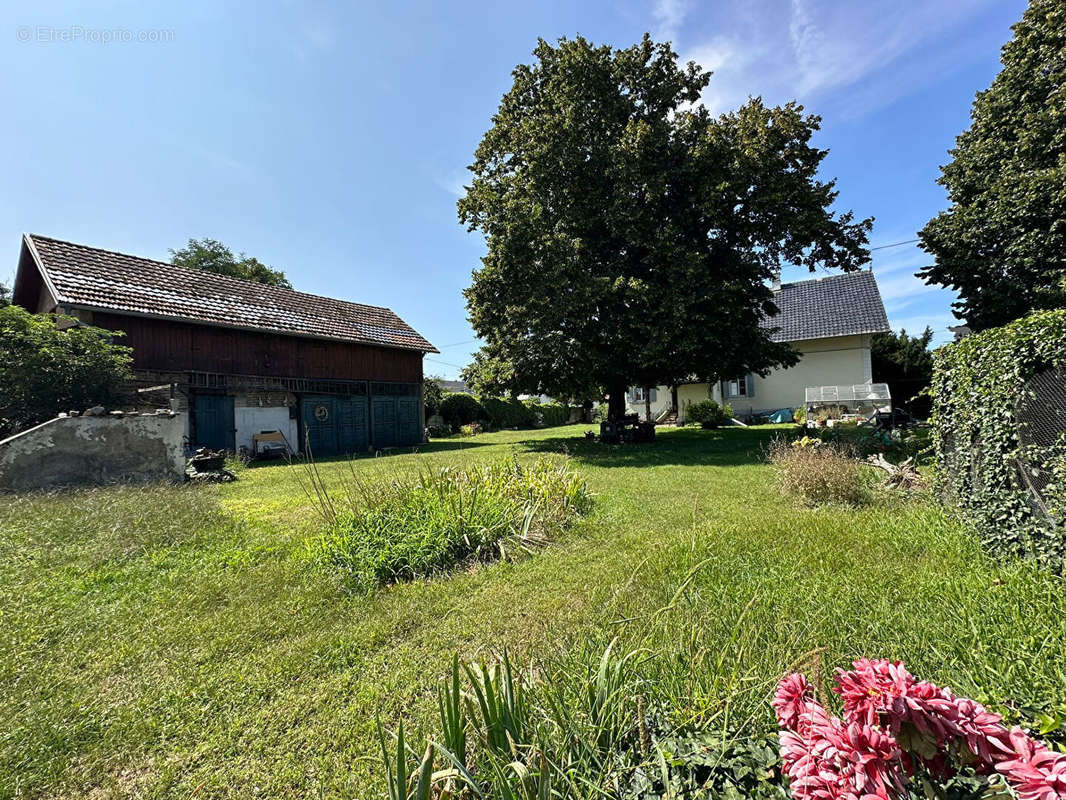 Maison à FESSENHEIM