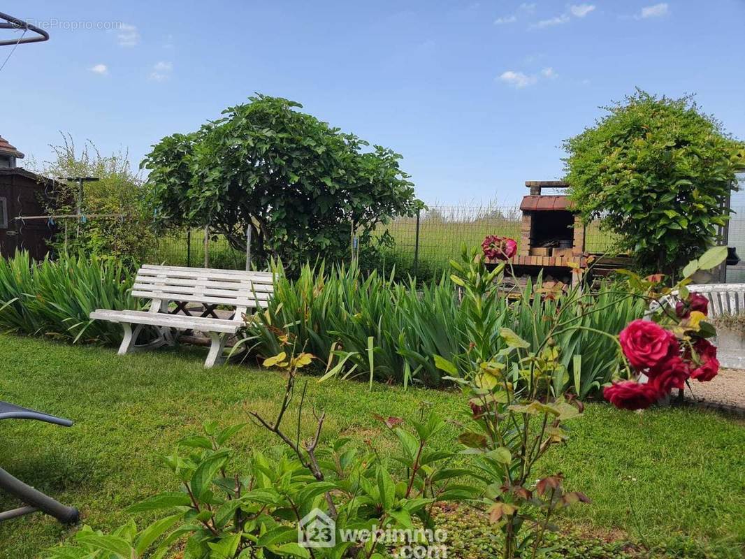 Une autre vue du jardin. - Maison à MORET-SUR-LOING