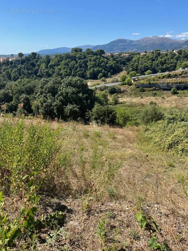 Terrain à SAINT-LAURENT-DU-VAR