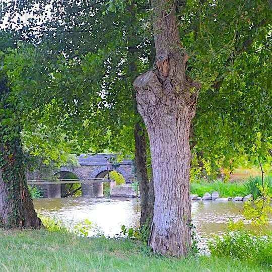 Terrain à NORT-SUR-ERDRE