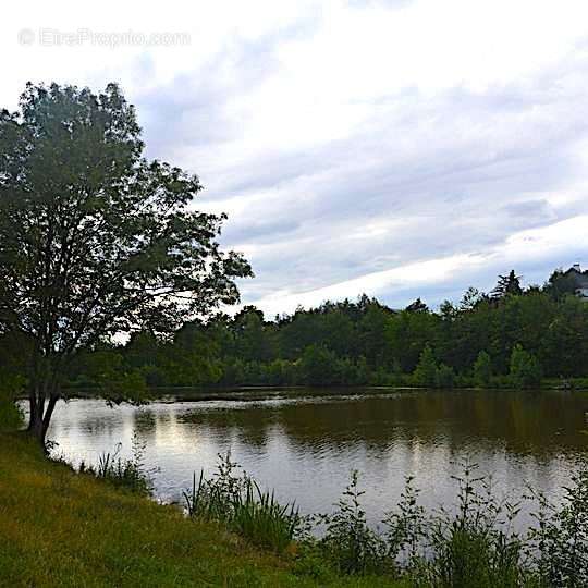 Terrain à NORT-SUR-ERDRE