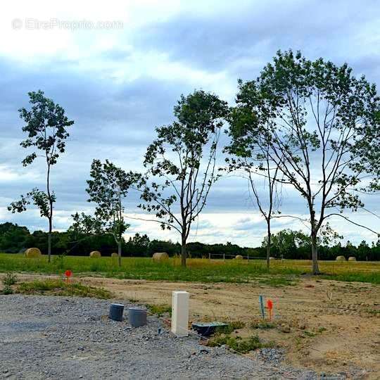 Terrain à NORT-SUR-ERDRE