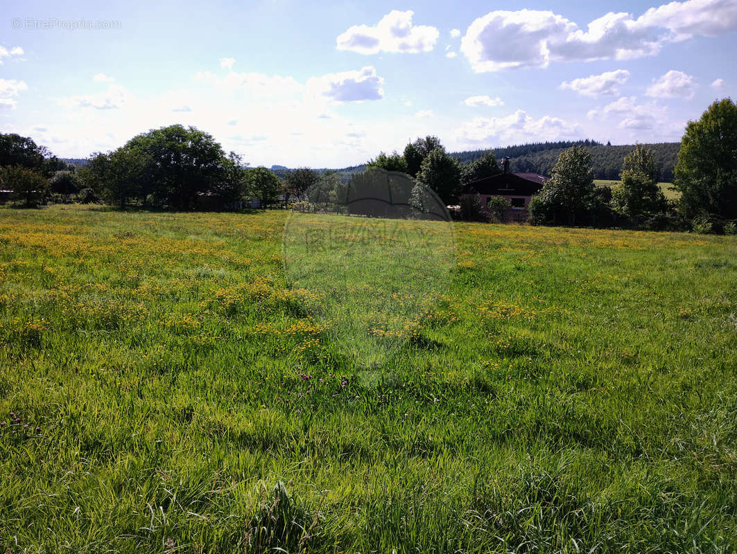 Terrain à FREMIFONTAINE