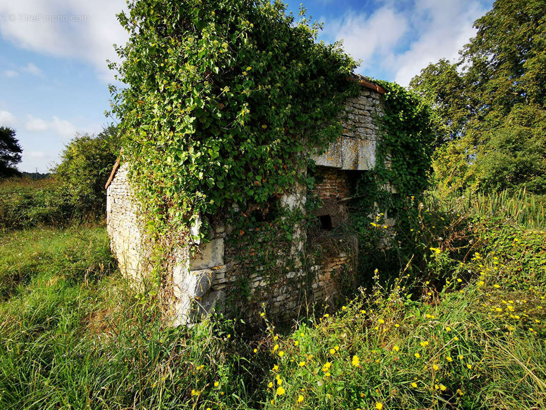 Maison à BLANZAY