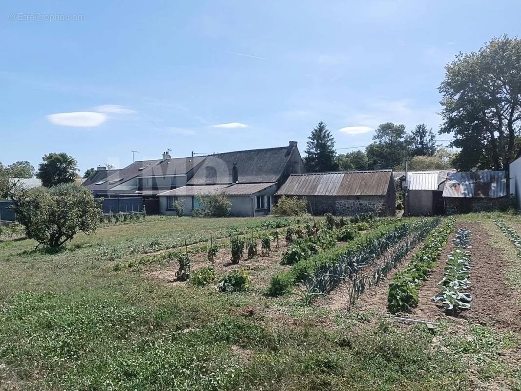 Maison à NORT-SUR-ERDRE