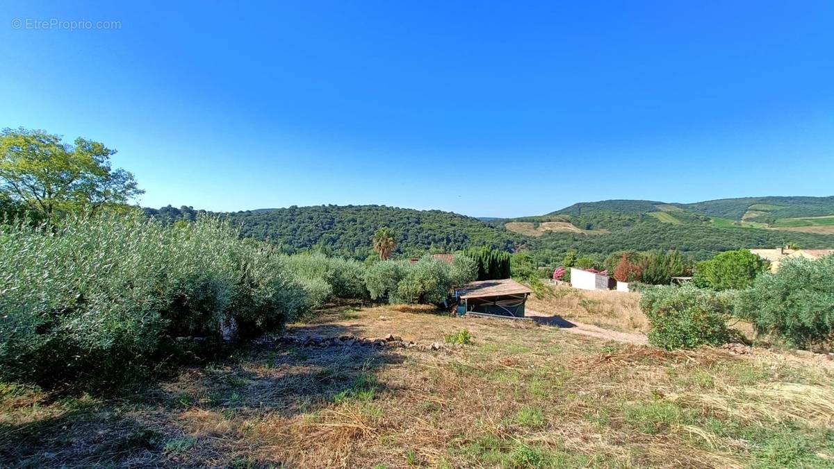 Terrain à ROQUEBRUN