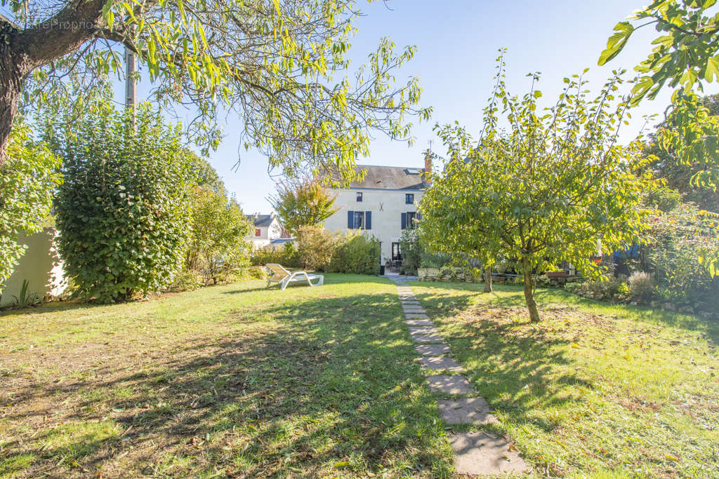 Maison à MONTREUIL-BELLAY