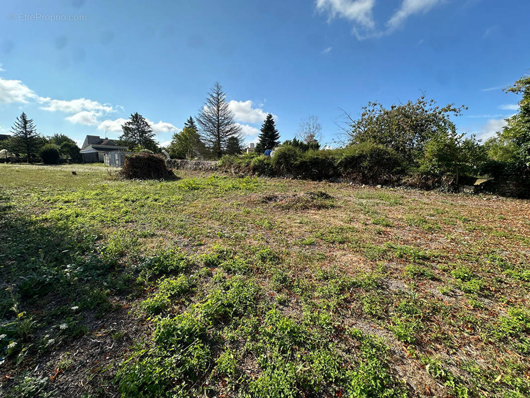 Terrain à LOUDUN