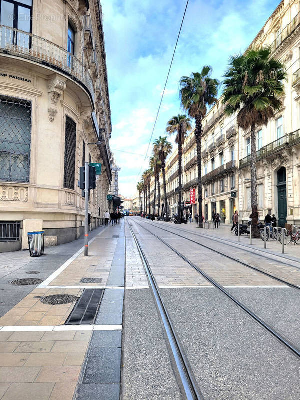 Appartement à MONTPELLIER