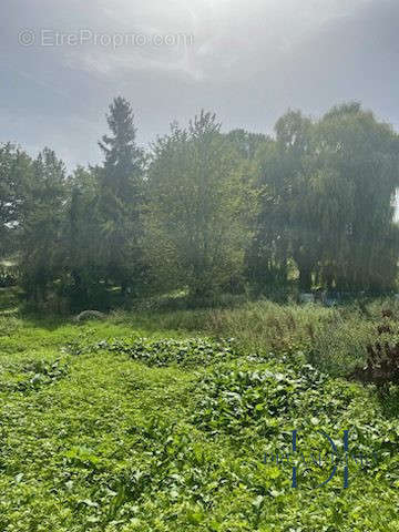 Terrain à GIVERNY